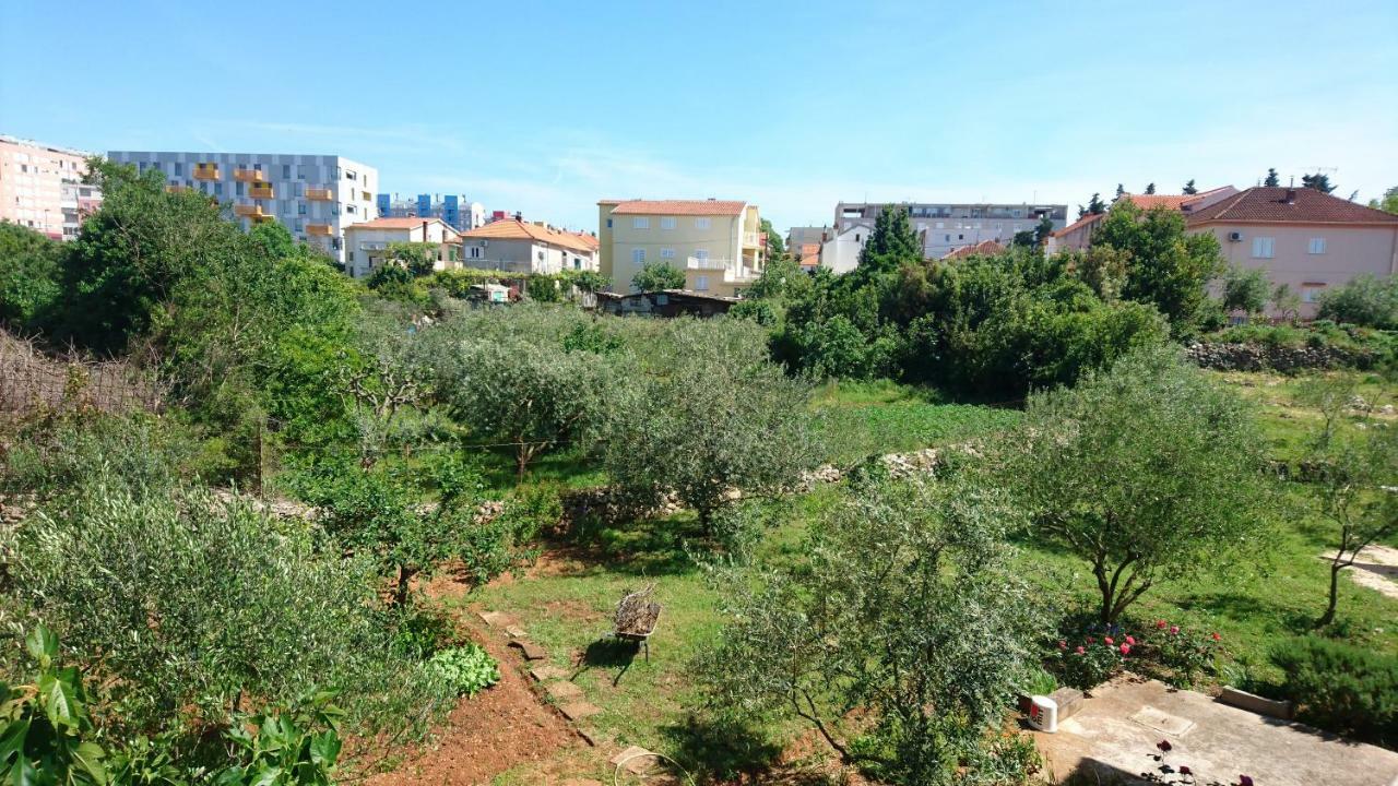 F-Holiday Apartment Zadar Extérieur photo